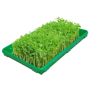 Garden tools Tray for hydroponics 