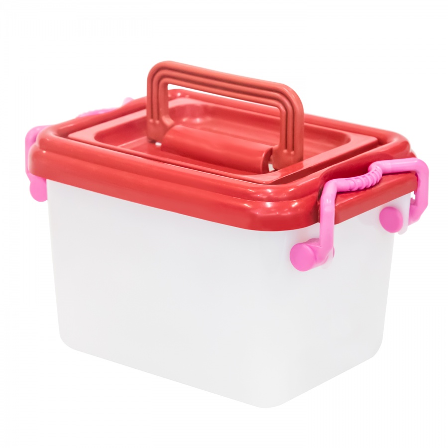 Container with lid (2,5 l.)
